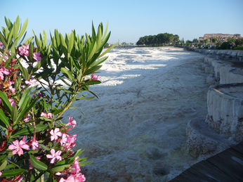 P1040679.JPG 3456x2592 index 435